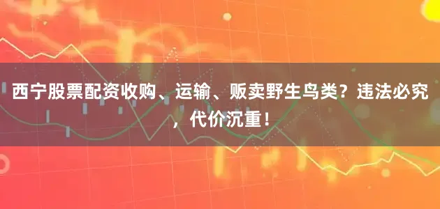 西宁股票配资收购、运输、贩卖野生鸟类？违法必究，代价沉重！