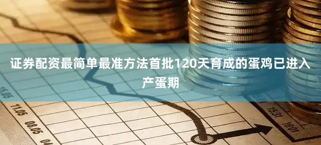 证券配资最简单最准方法首批120天育成的蛋鸡已进入产蛋期